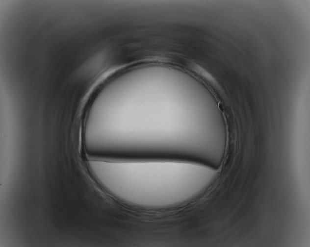 X0000086031323200703230946