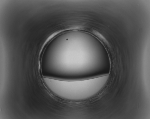 X0000086031324200703230946