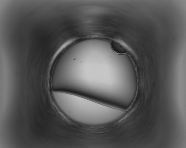 X0000086031325200703230946