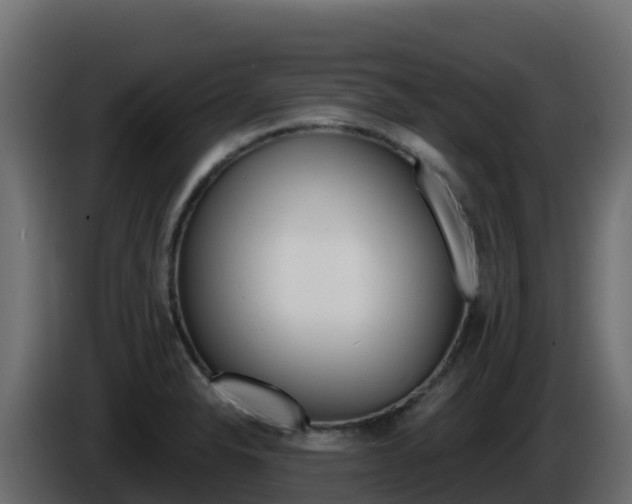 X0000086031326200703230946