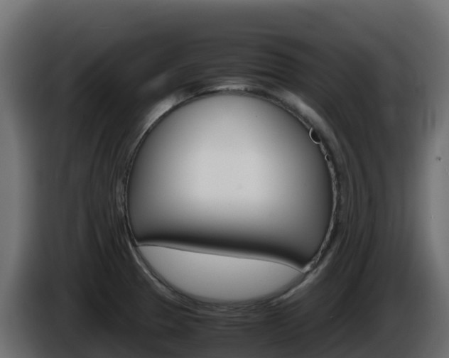 X0000086031329200703230946