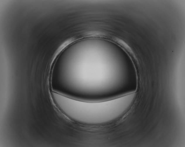 X0000086031330200703230946