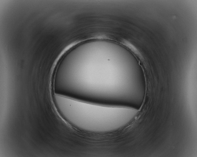 X0000086031331200703230946