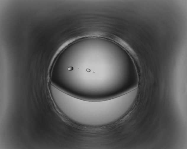 X0000086031332200703230946