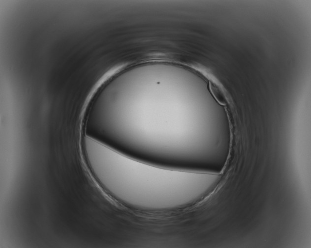 X0000086031333200703230946