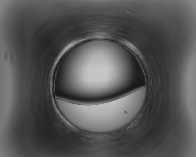 X0000086031334200703230946