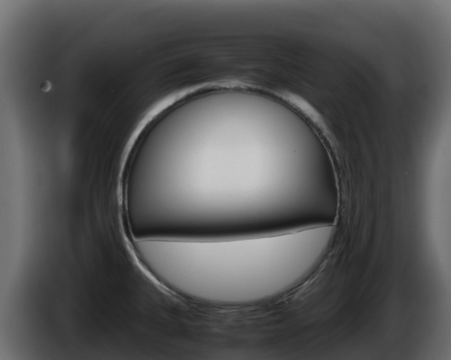 X0000086031335200703230946