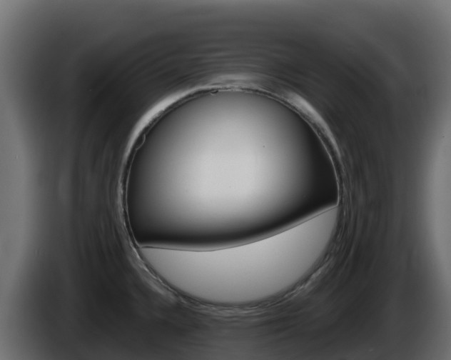 X0000086031336200703230946