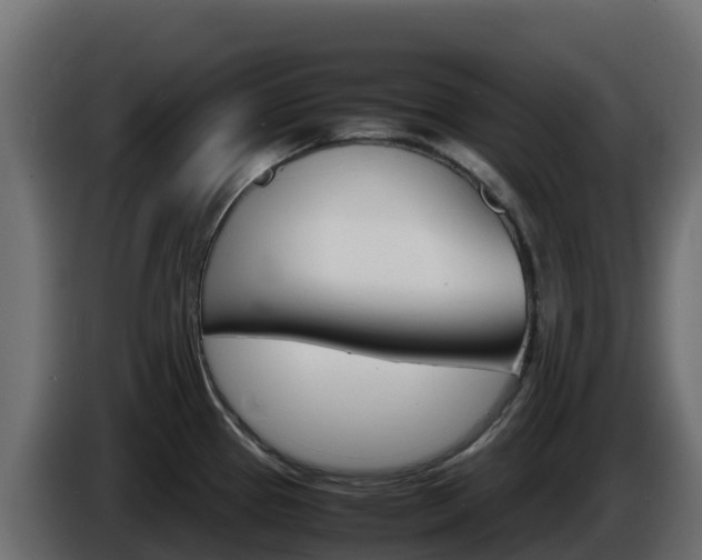 X0000086031337200703230946