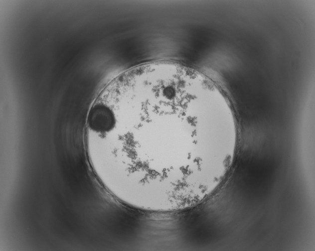 X0000086031338200703230946