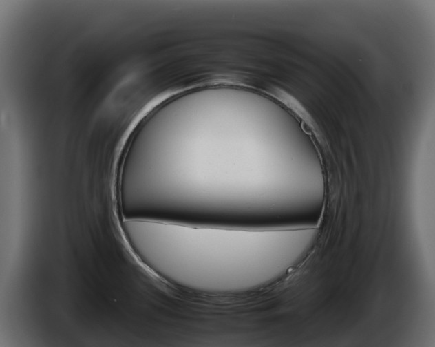 X0000086031339200703230946