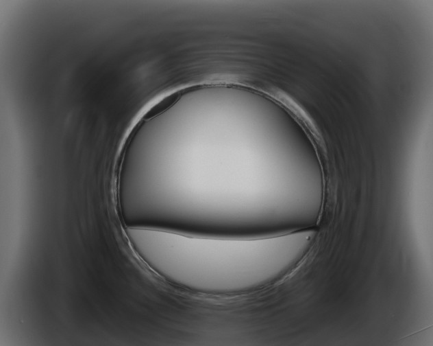 X0000086031340200703230946