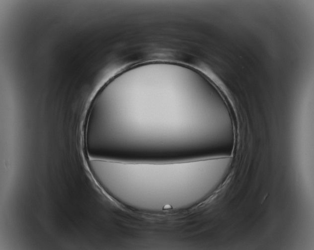 X0000086031341200703230946