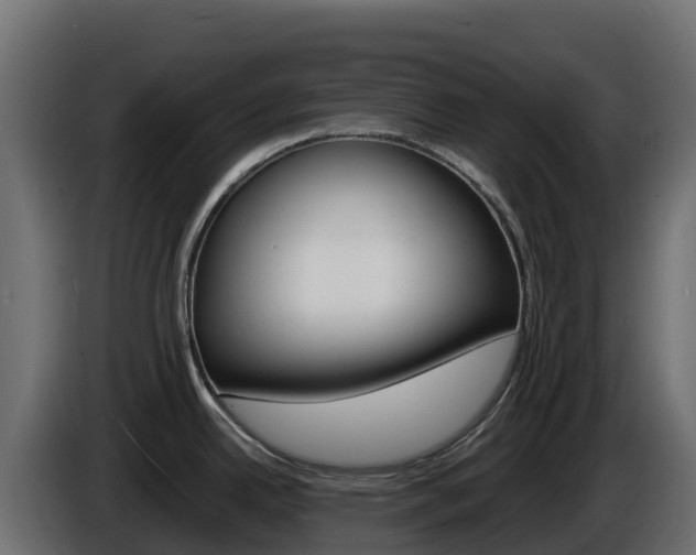 X0000086031342200703230946