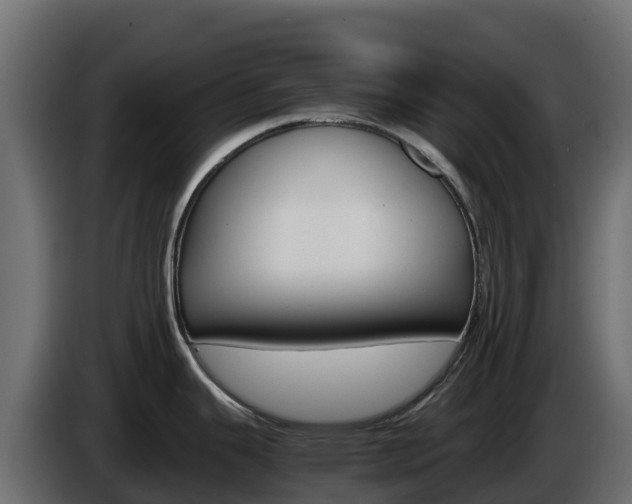 X0000086031343200703230946