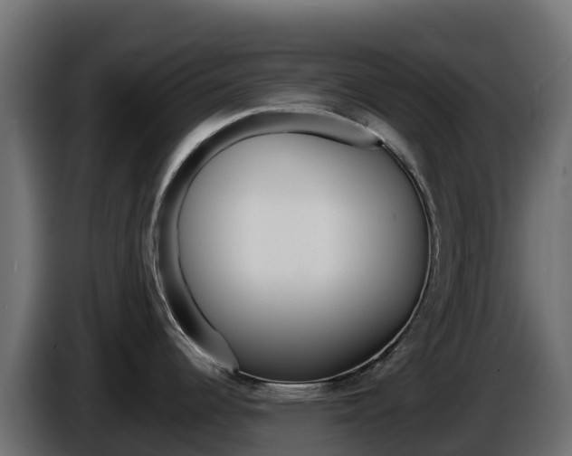 X0000086031344200703230946