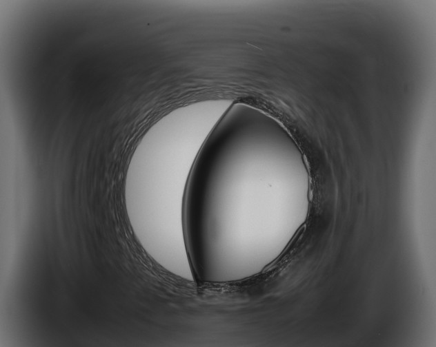 X0000086031345200703230945