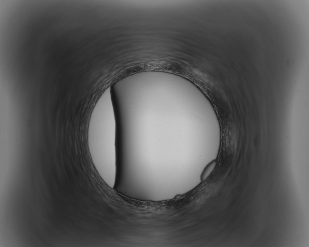 X0000086031346200703230945