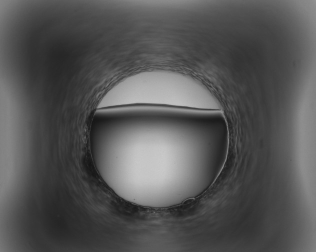 X0000086031349200703230945