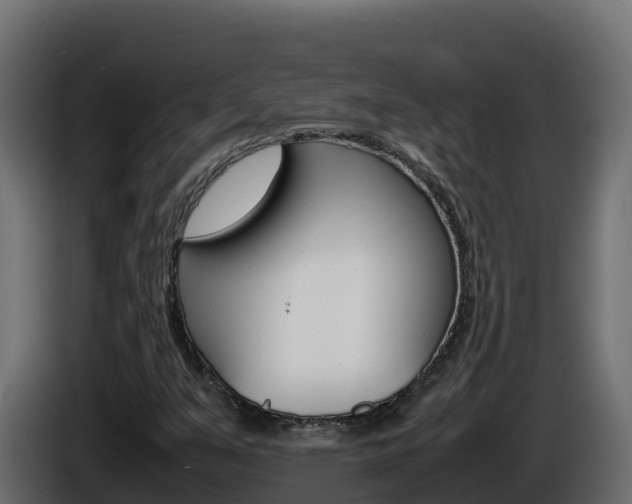 X0000086031351200703230945
