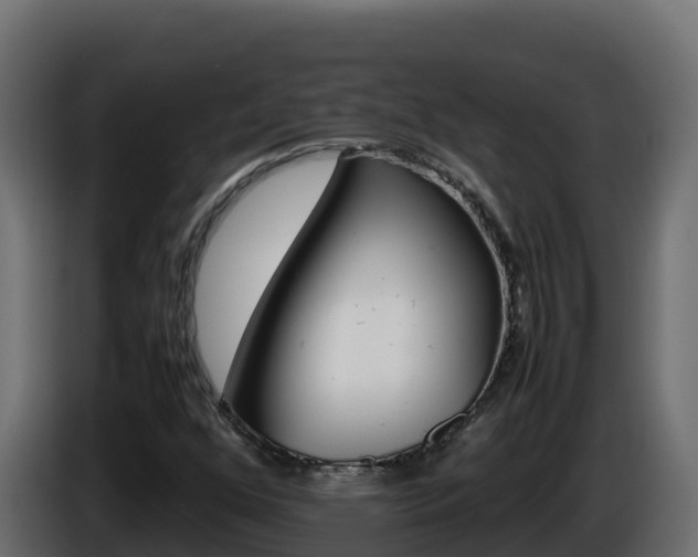 X0000086031352200703230945
