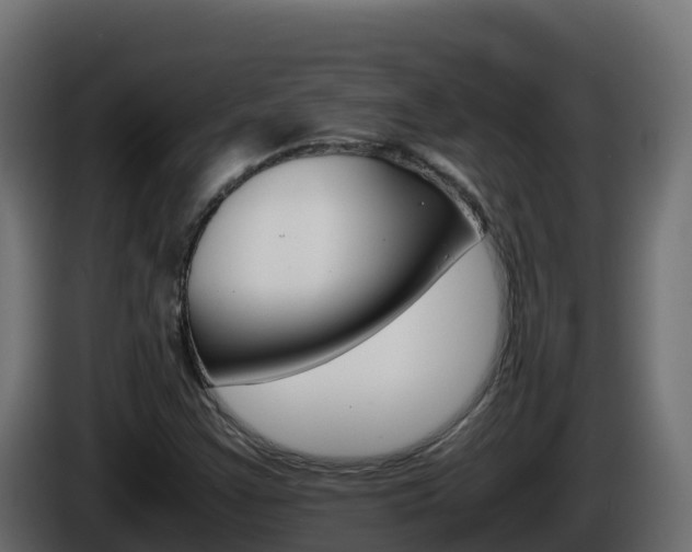 X0000086031355200703230945