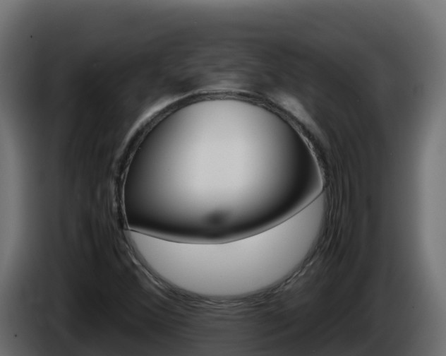 X0000086031356200703230945