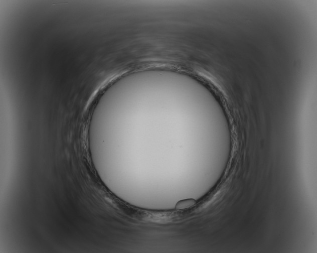 X0000086031357200703230945