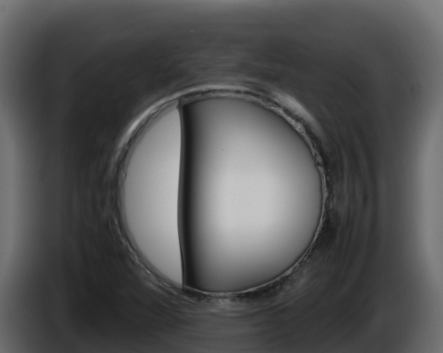X0000086031360200703230945