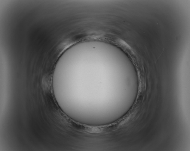 X0000086031361200703230945