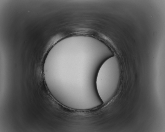 X0000086031362200703230945