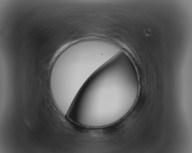 X0000086031363200703230945