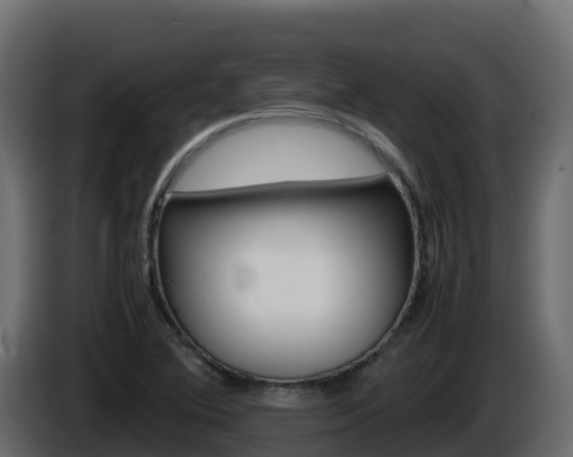 X0000086031364200703230945