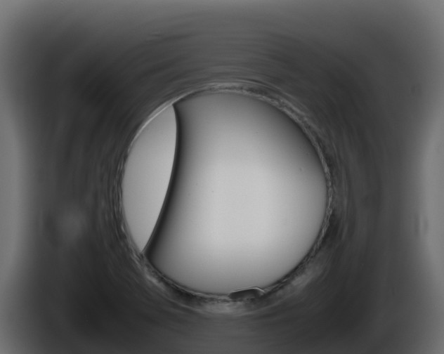 X0000086031369200703230945