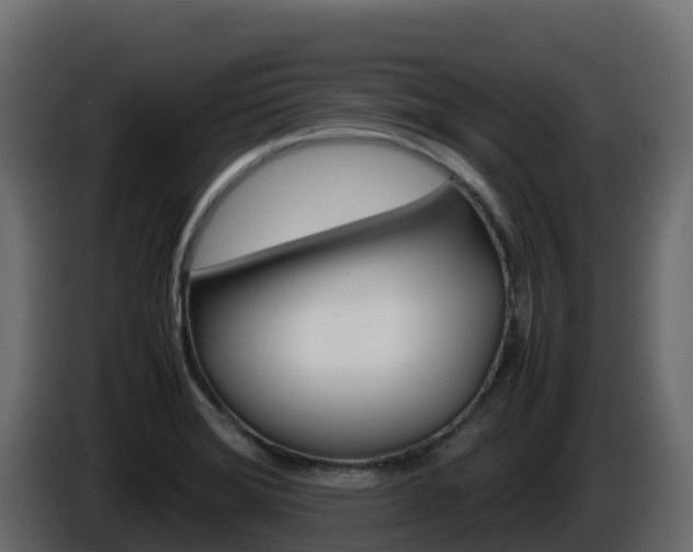 X0000086031372200703230945