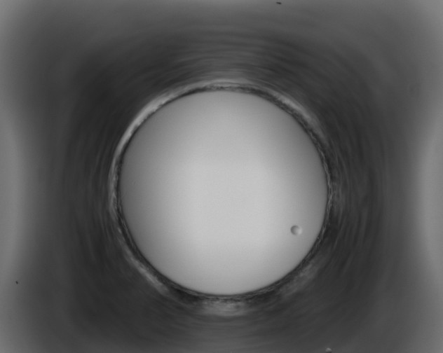 X0000086031374200703230945
