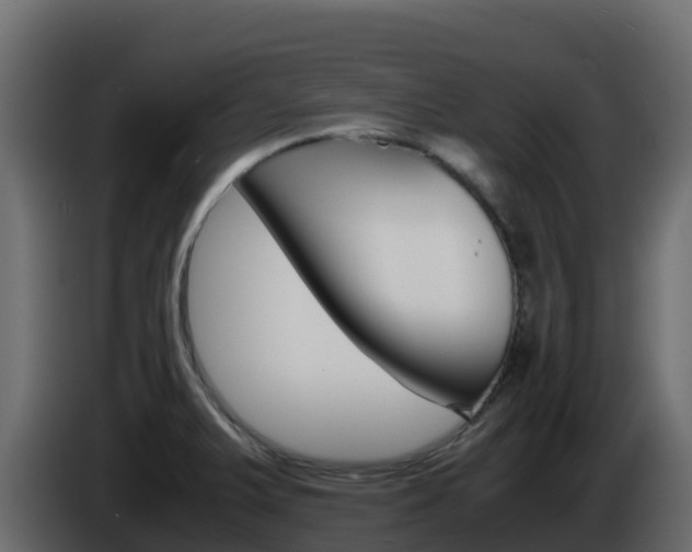 X0000086031375200703230945