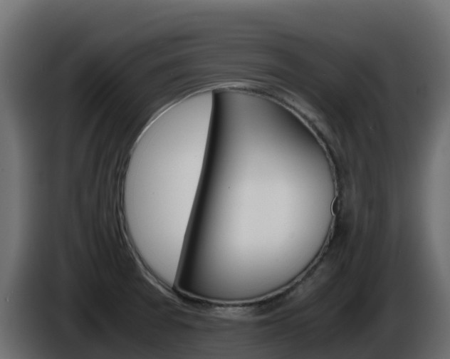 X0000086031377200703230945