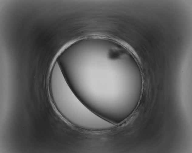 X0000086031381200703230945