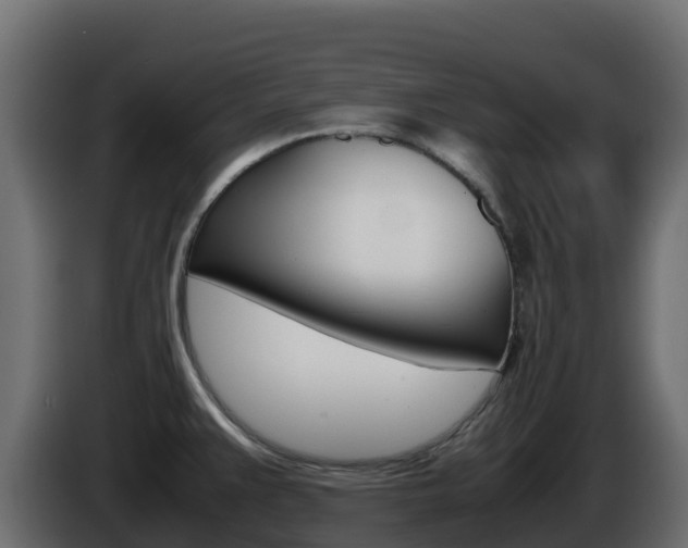X0000086031383200703230945