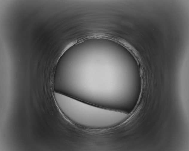 X0000086031385200703230945