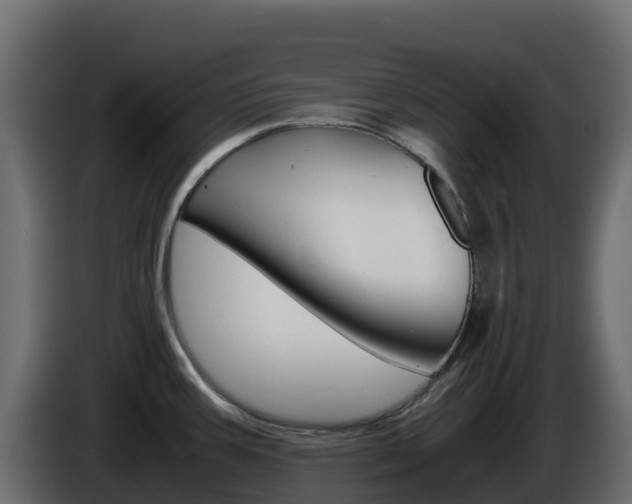 X0000086031387200703230945