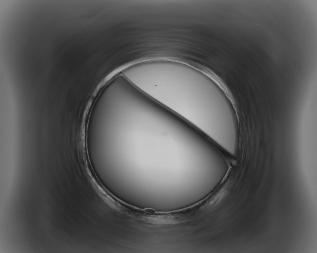 X0000086031388200703230945