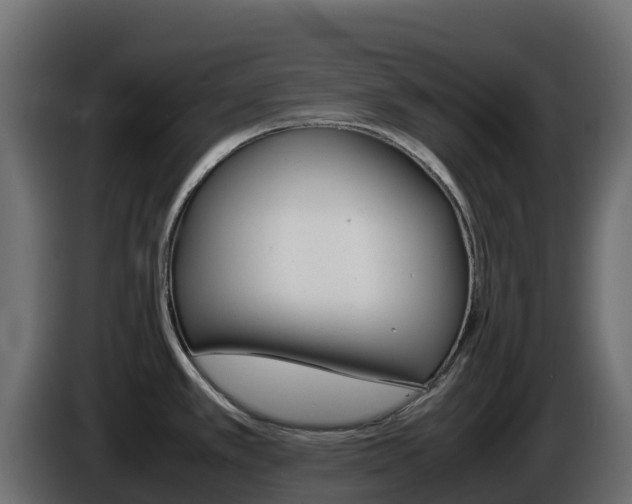 X0000086031389200703230945