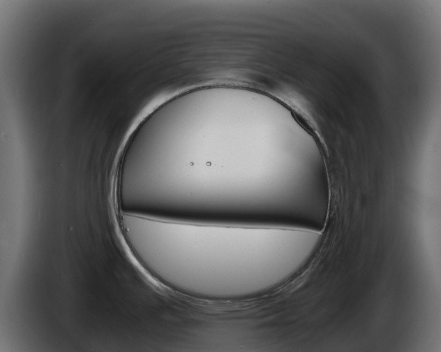 X0000086031391200703230945