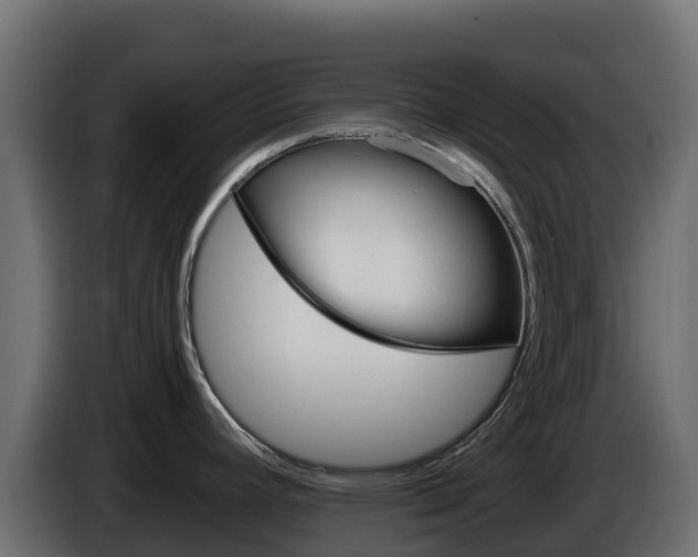 X0000086031392200703230945