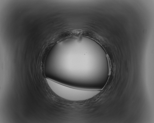 X0000086031394200703230944