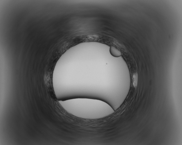 X0000086031395200703230944