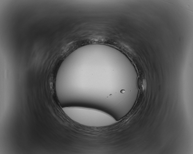 X0000086031396200703230944
