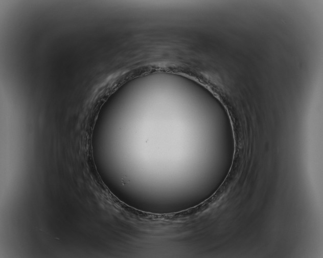 X0000086031398200703230944